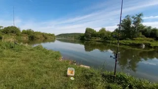 Ujście Skawinki do Wisły