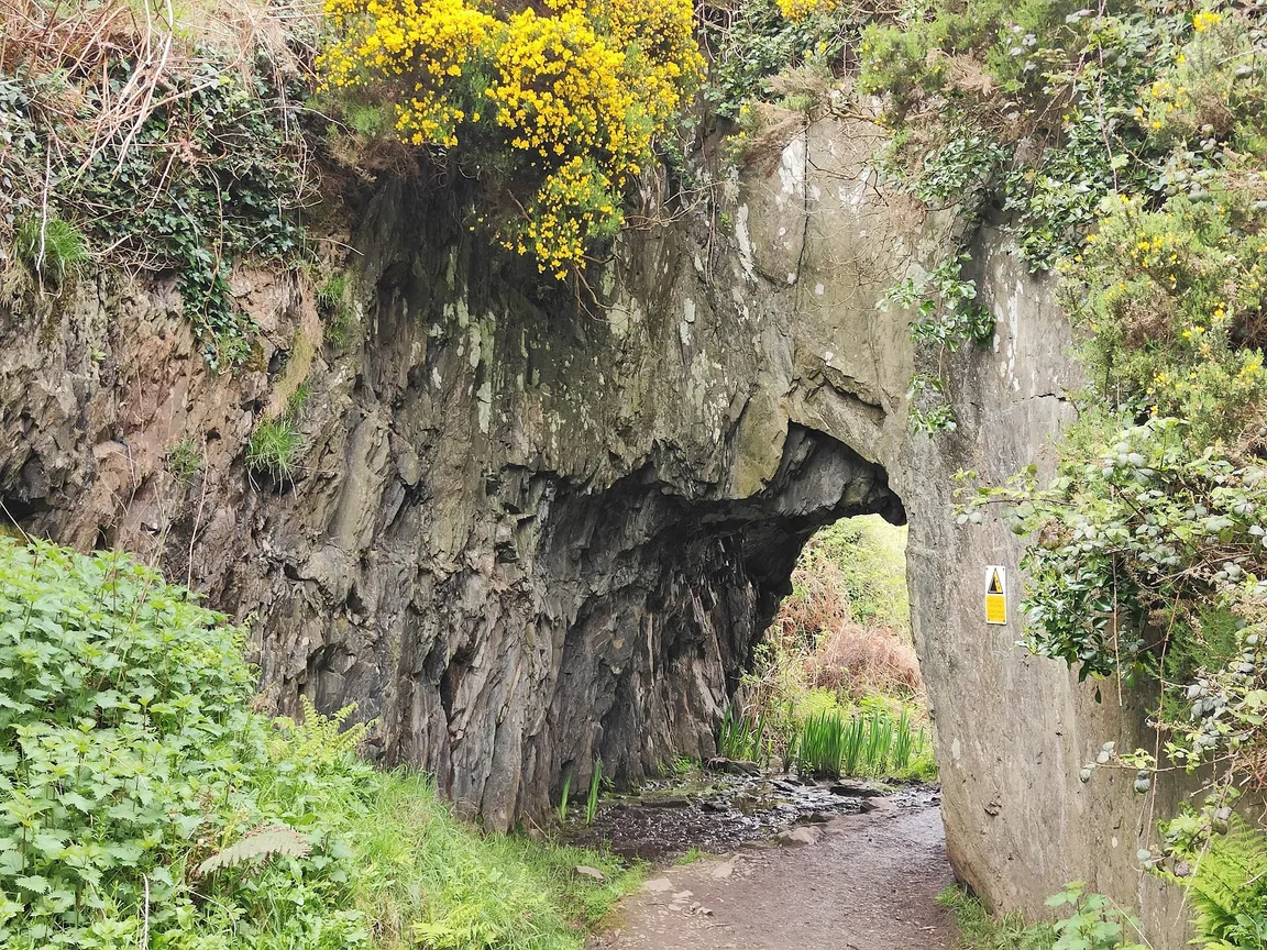 National Trust Orlock Point
