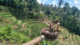 Aloha Ubud Swing