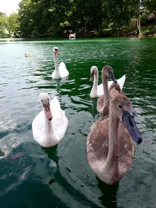 Łagowsko-Sulęciński Park Krajobrazowy