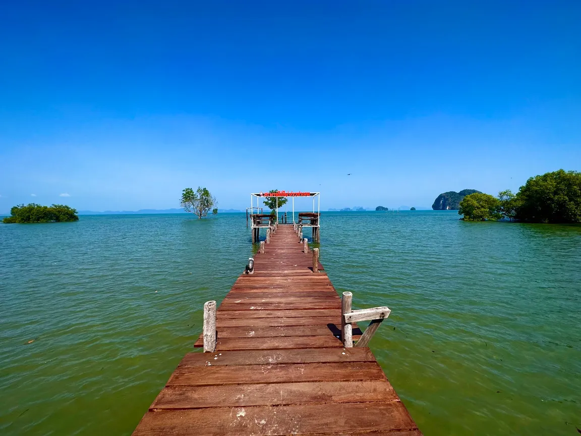 New bamboo bridge