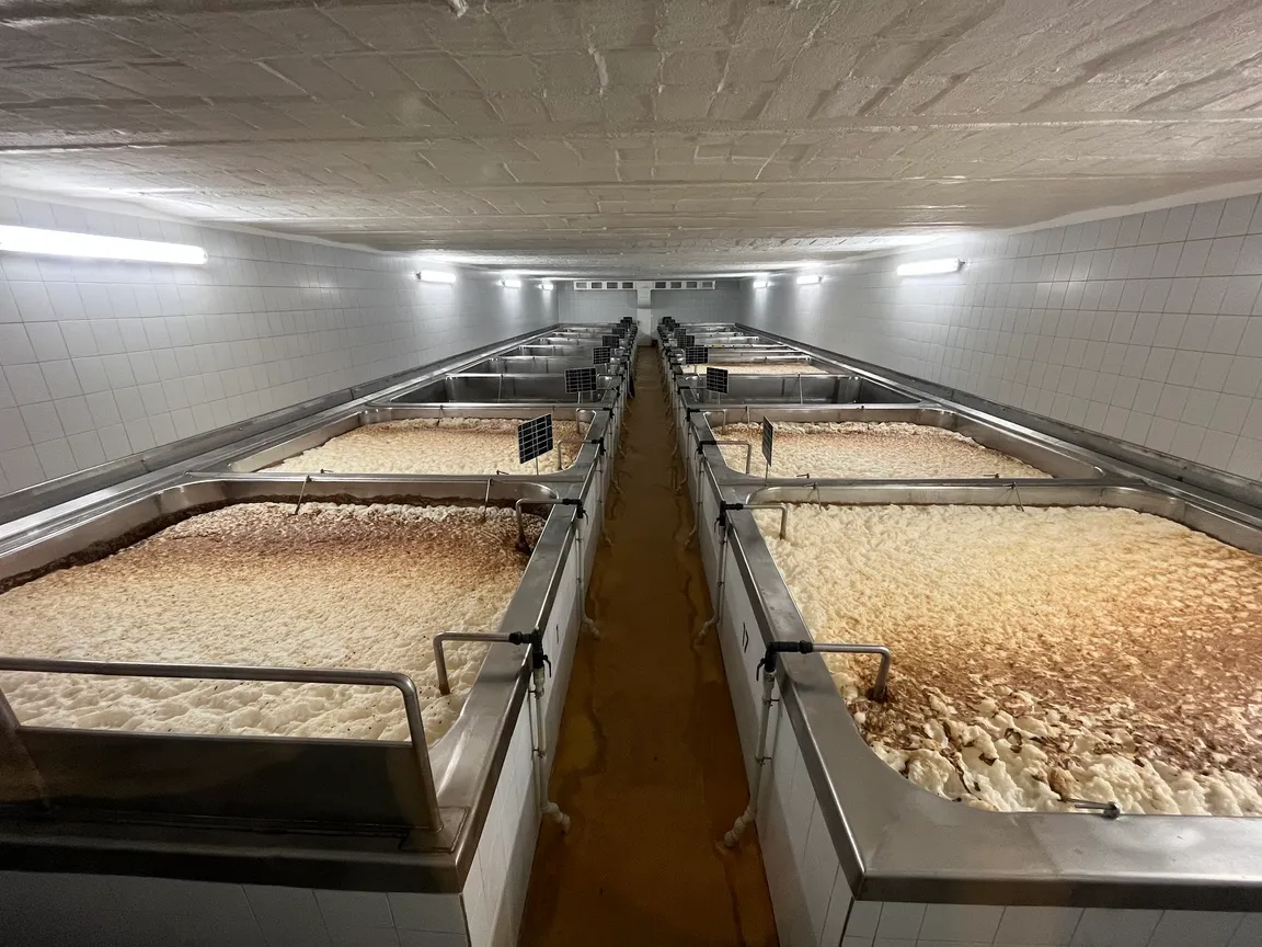 Family Brewery Chodovar