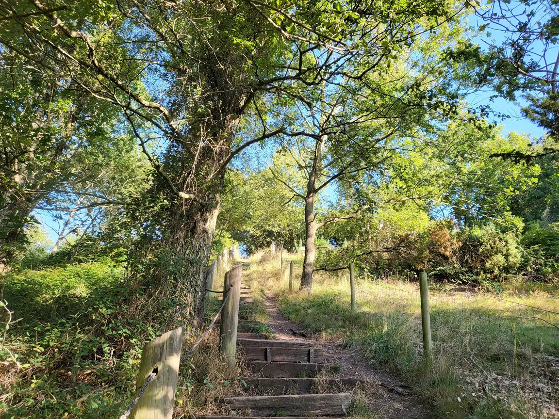 Panorama Walking Route
