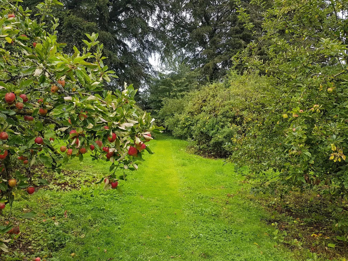 Lakeview Organic Farm
