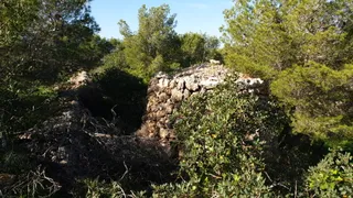 Girna