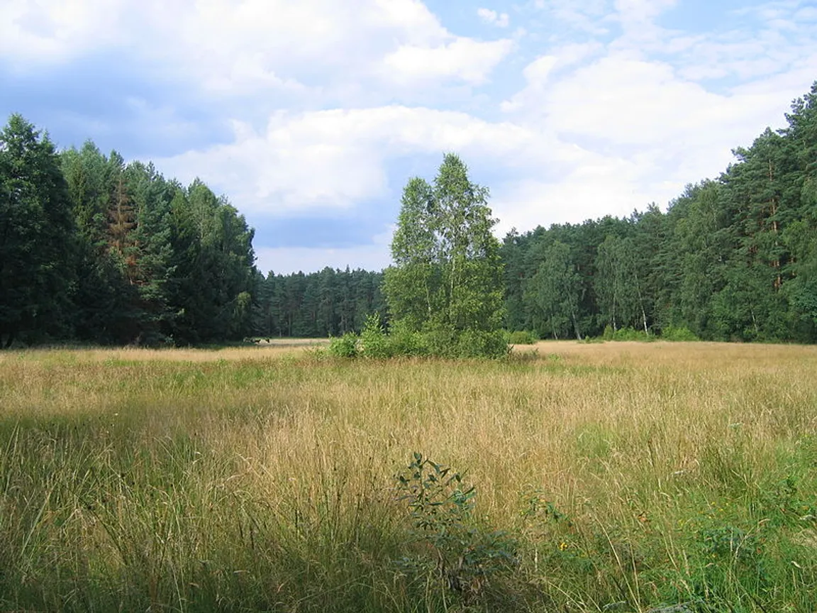 Brodnicki Park Krajobrazowy