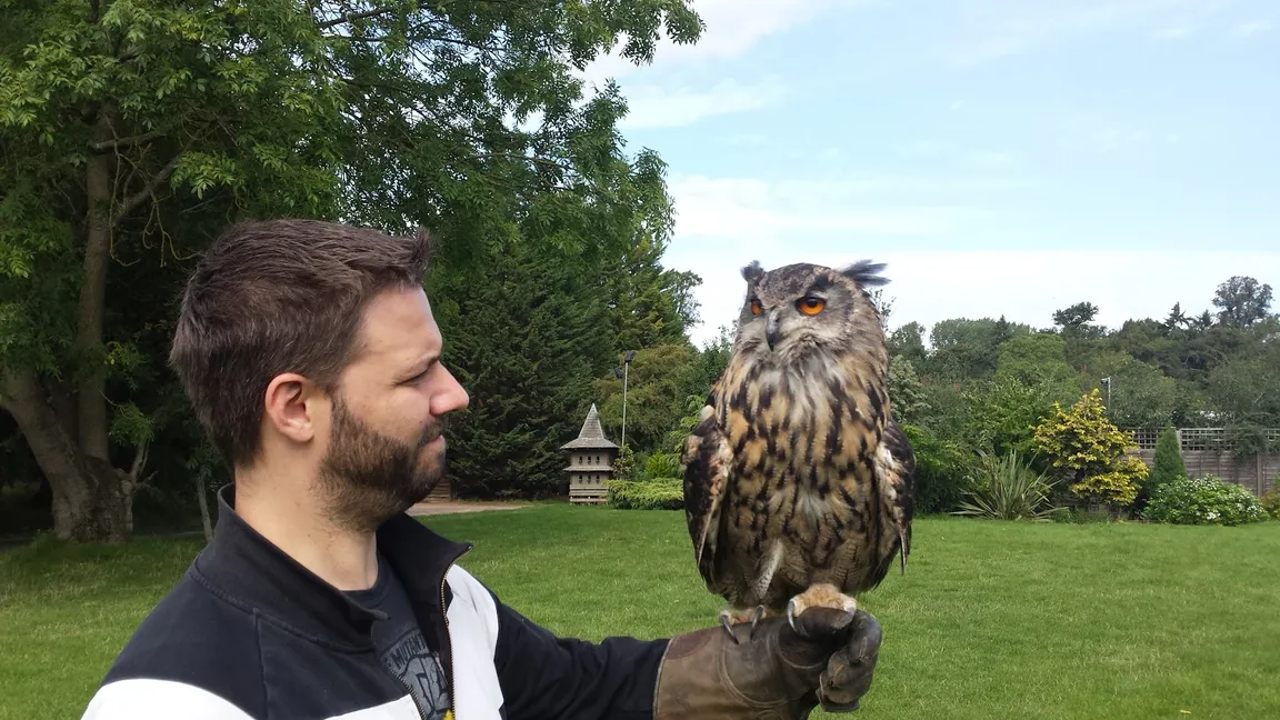 Feathers and Fur Falconry Centre