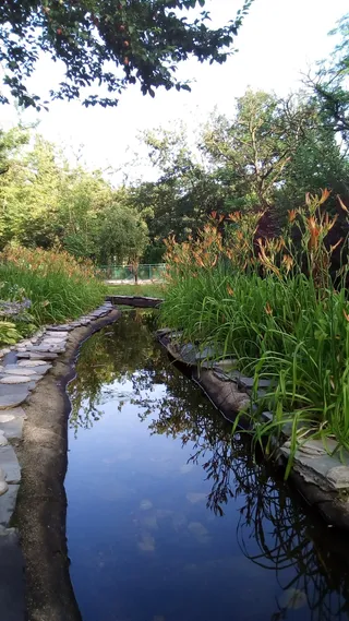 Lidia Park