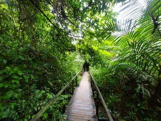 Manuel Antonio Nature Reserve & Wildlife Refuge
