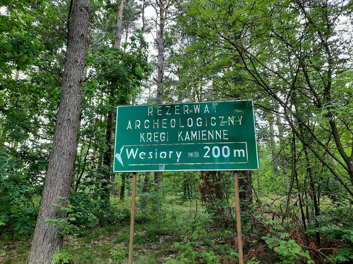 Kamienne Kręgi - Węsiory