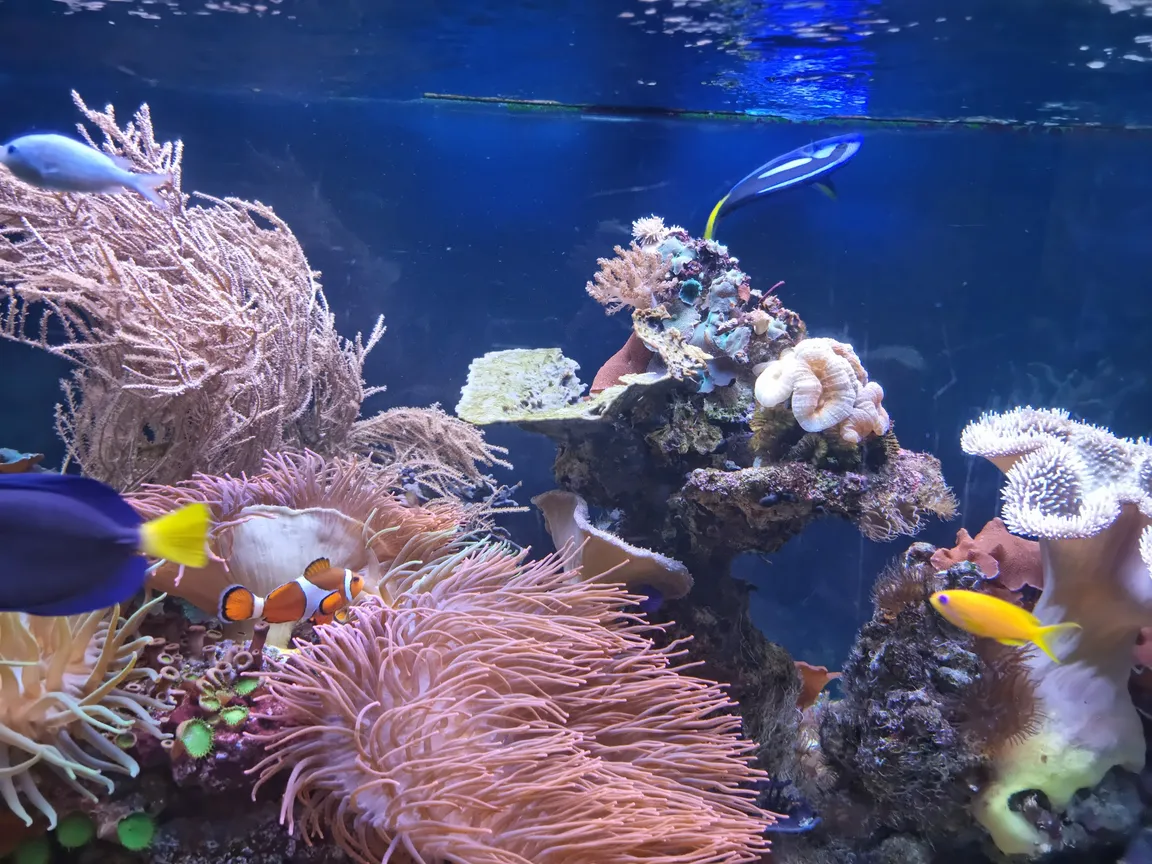 Ogród Zoologiczny w Krakowie