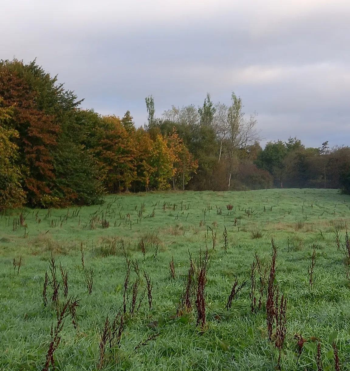 Ballyarnett Country Park