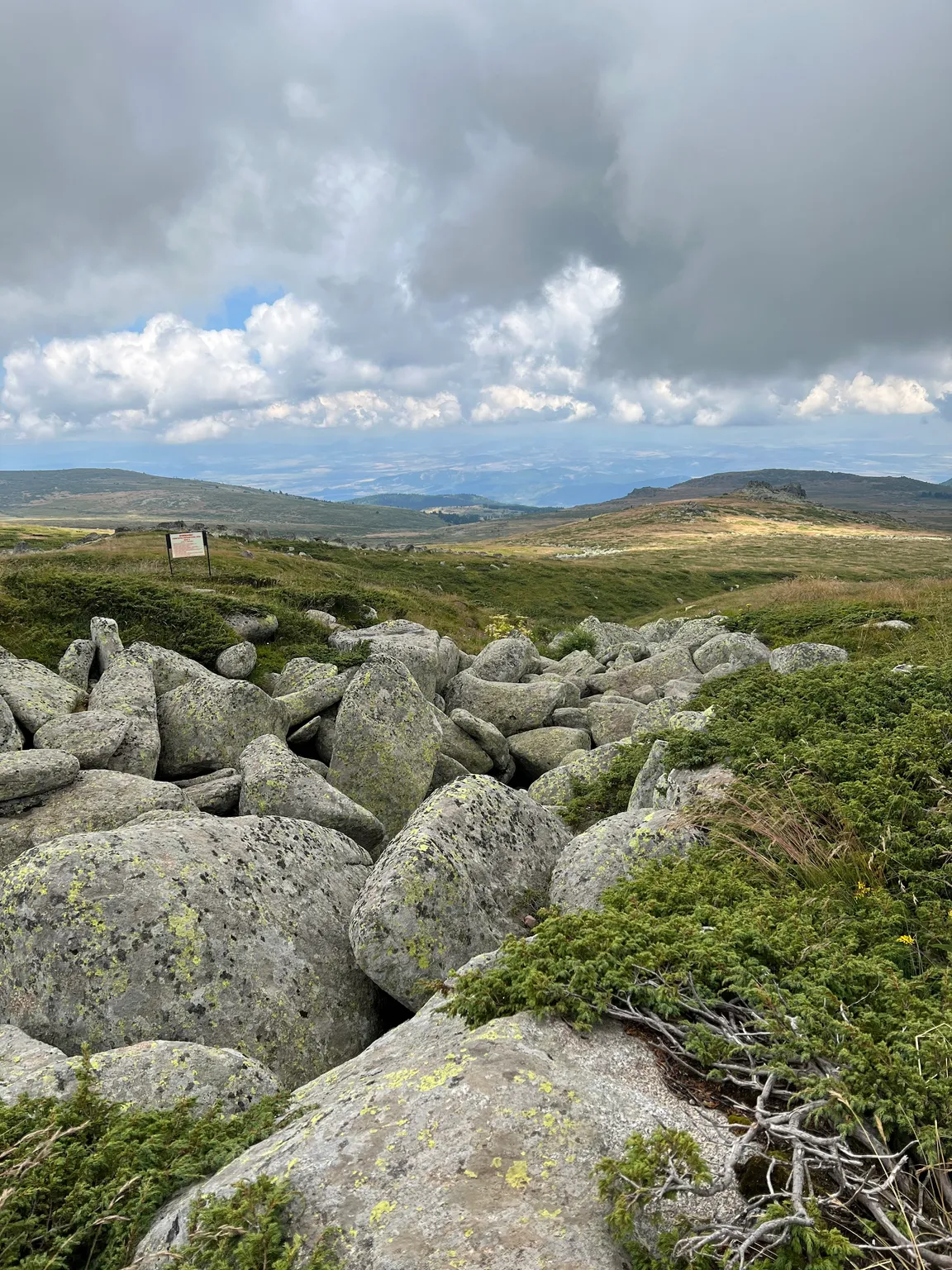 Vitosha Nature Park