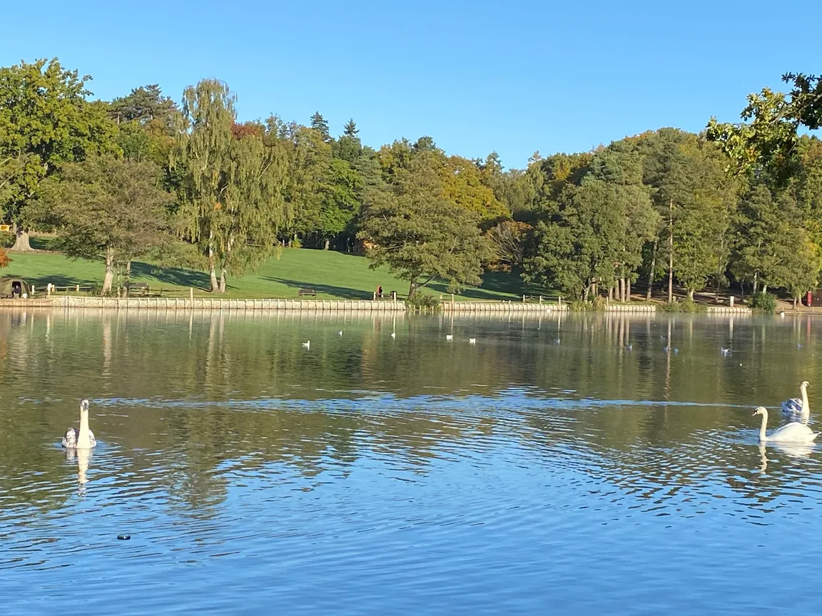Tilgate Park