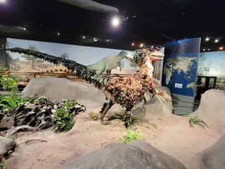 Las Vegas Natural History Museum