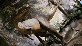 Royal Tyrrell Museum Lookout