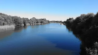 Rezerwat przyrody Jeziorko Czerniakowskie