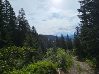 Sentier du gâteau