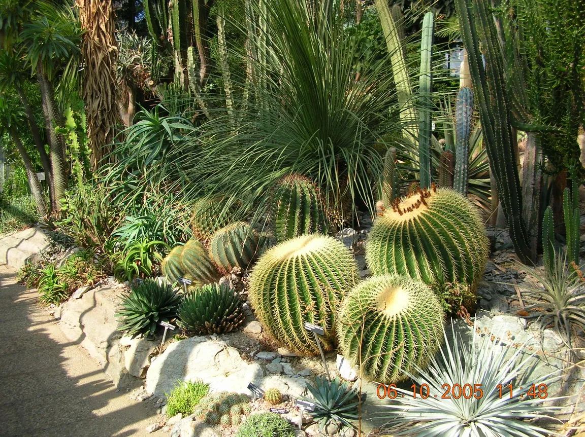 Innsbruck University Botanical Garden