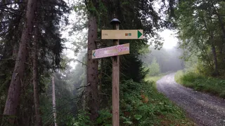Cascade de la Belle au Bois