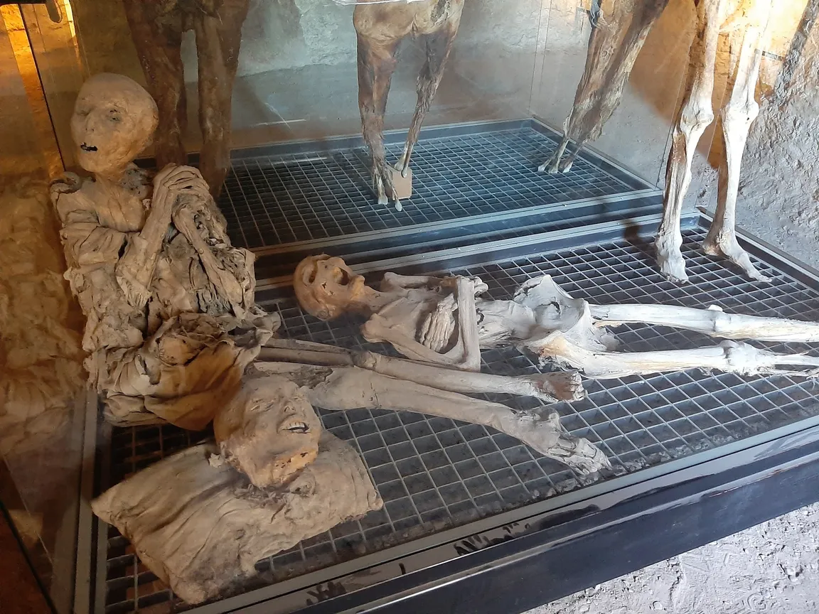 Crypt - Museum of the Mummies