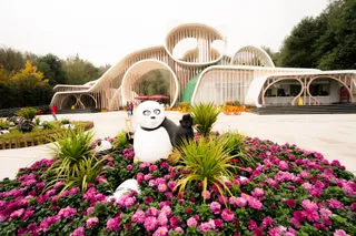 Chengdu Research Base of Giant Panda Breeding Giant Panda Brood Area