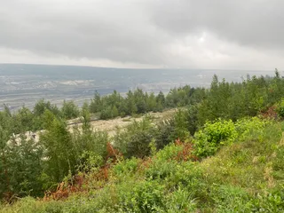 Odkrywka Kopalni Węgla Brunatnego w Bełchatowie