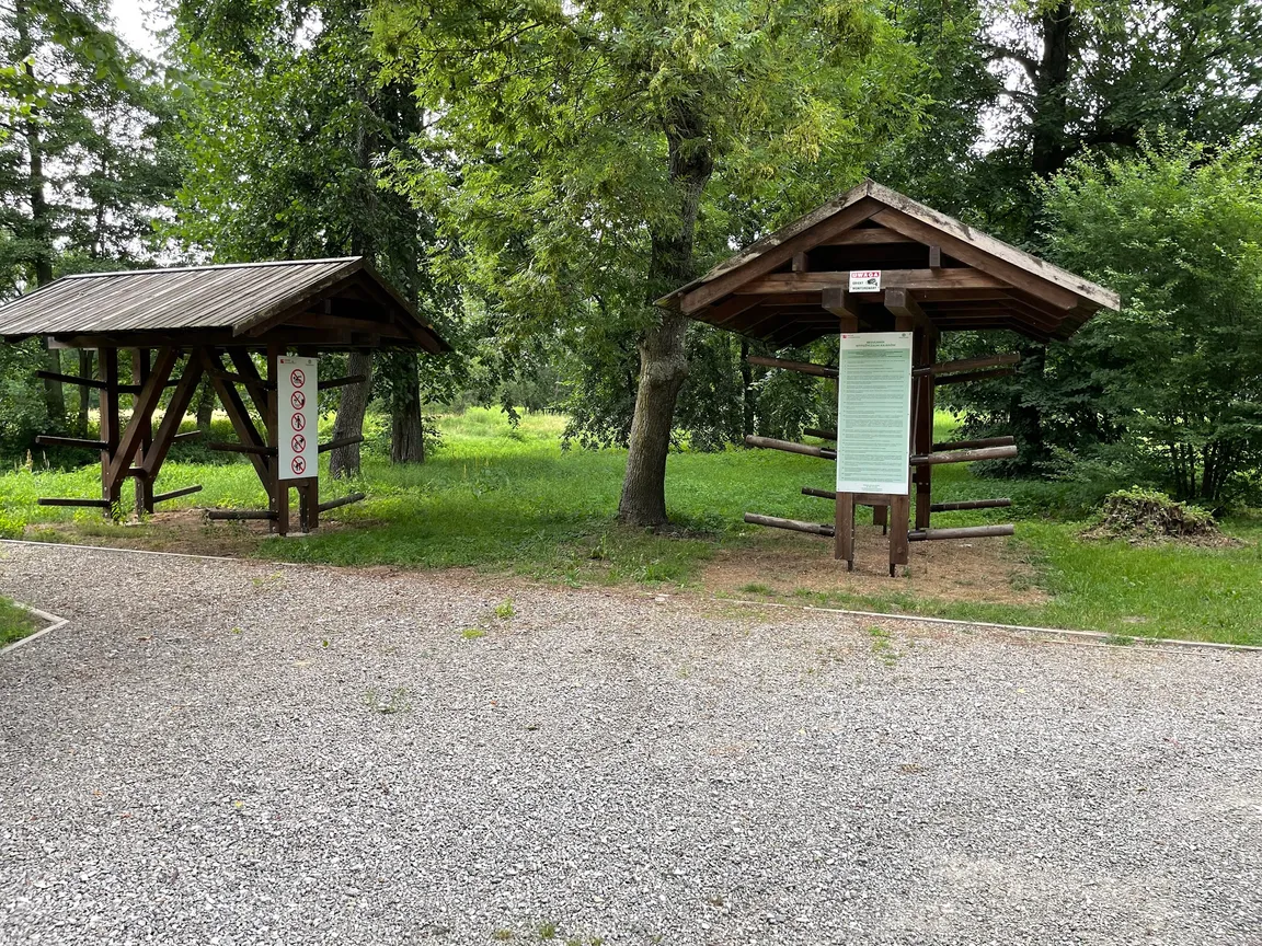 Zielona Dolina