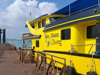 Sea Bees Diving Phuket