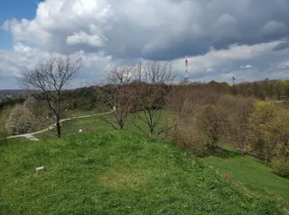 Kopiec Tatarski w Przemyślu