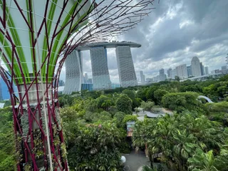 Supertree Grove