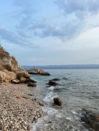 Dog beach
