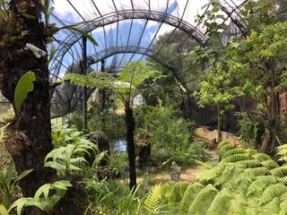 Reserva Ecológica y Jardín de Orquídeas Moxviquil