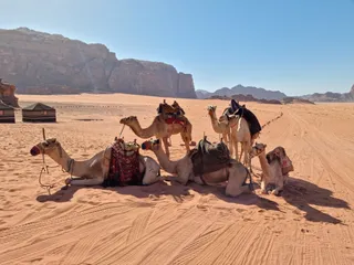 Wadi Rum Protected Area