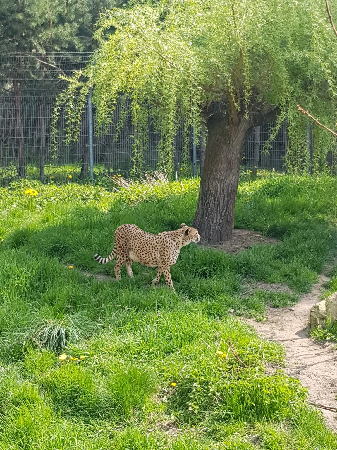 Zoo Opole