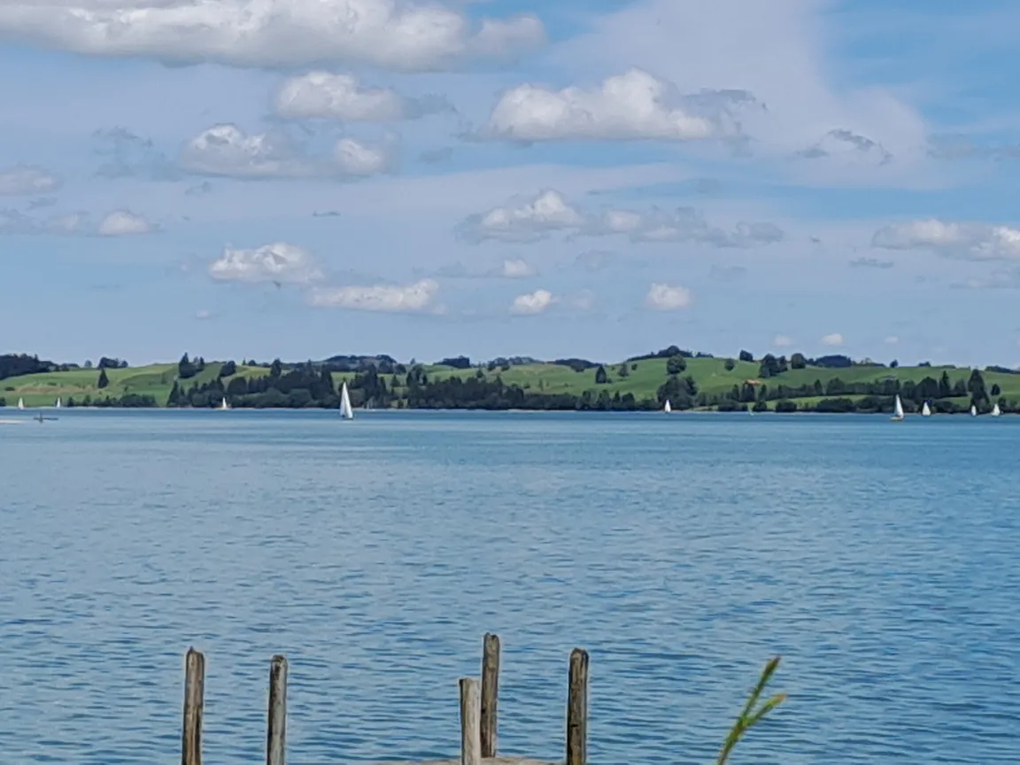 Forggensee