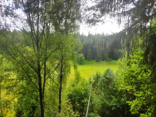 Leśny Park Linowy