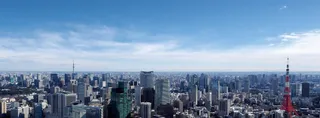Tokyo Free Walking Tour - Tokyo Localized