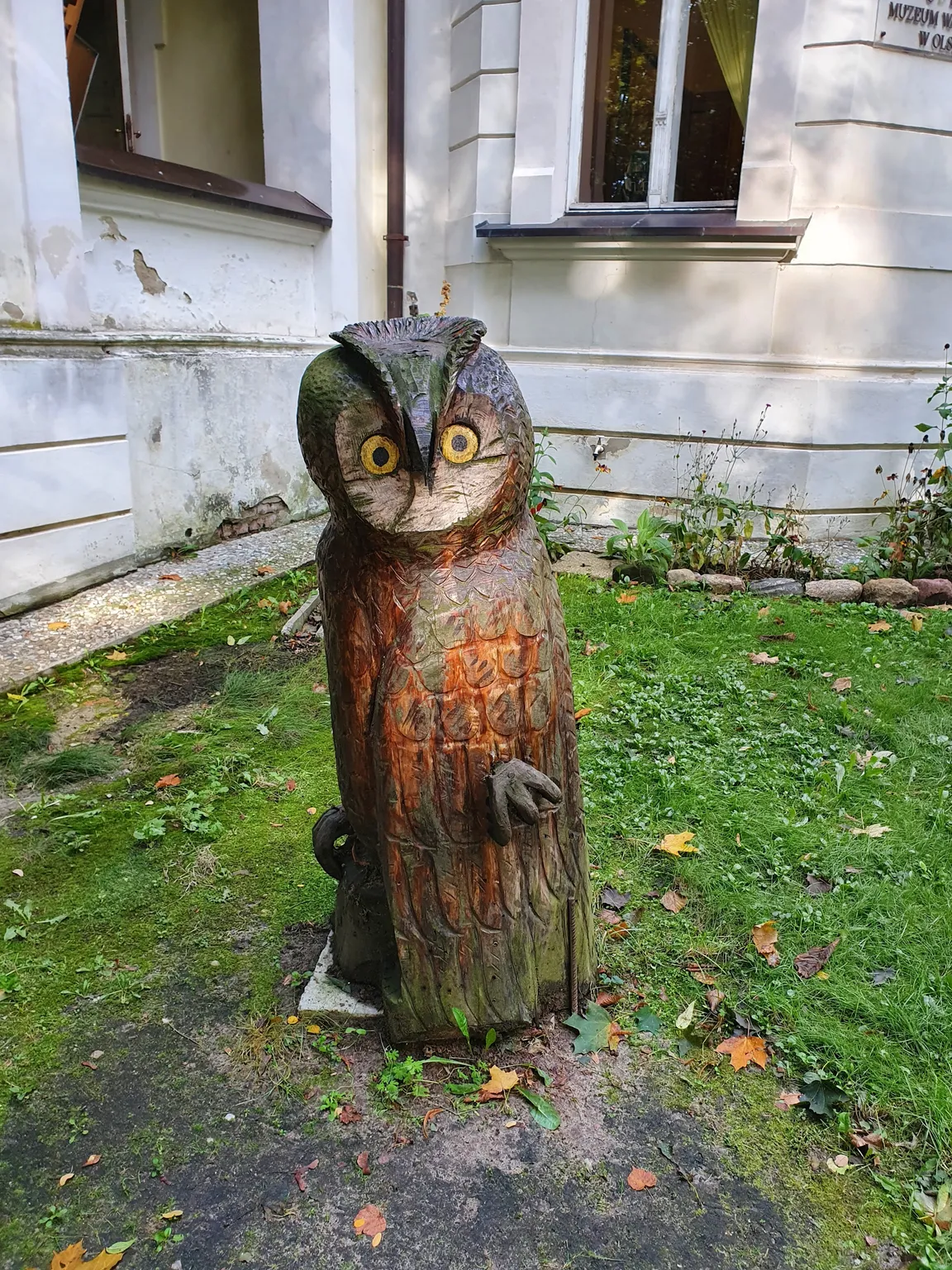 Muzeum Przyrody - Oddział Muzeum Warmii i Mazur