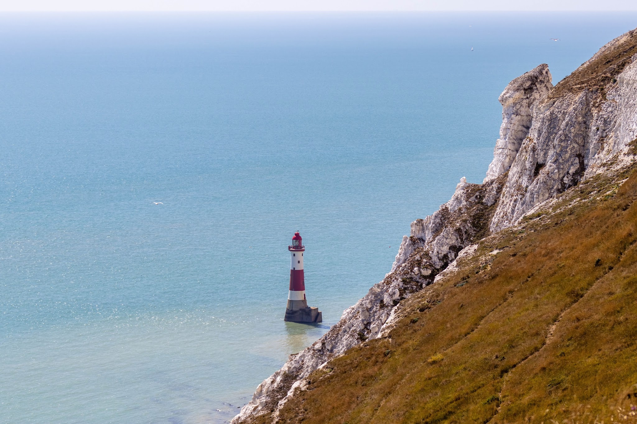 Beachy Head Cliffs Hopsa