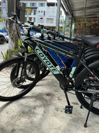 Bicycles for rent (Pagi Pagi)