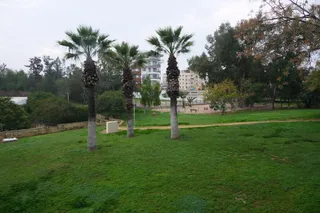 Acropolis Dog Park