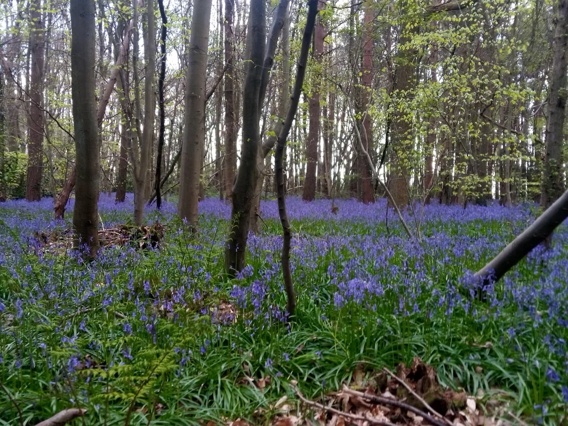 Otford Kent Circular Walk