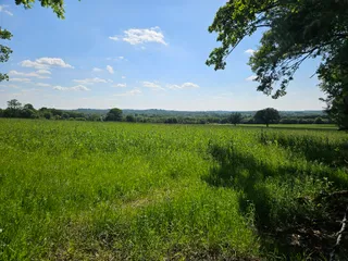 St Ann's Hill Park and Nature Trail