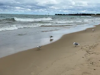 Oak Street Beach Restaurant