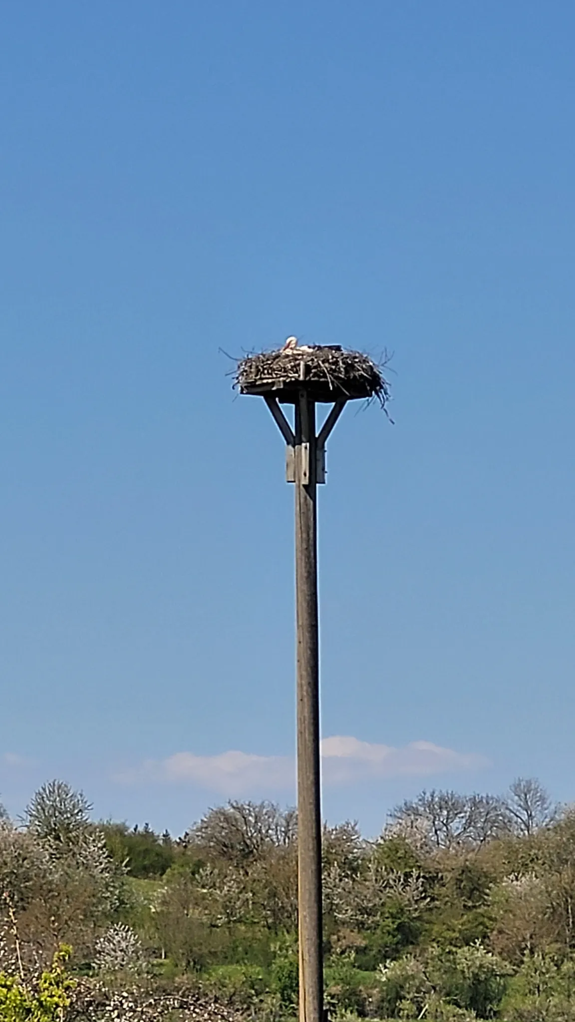 Nature park Stromberg-Heuchelberg e.V.