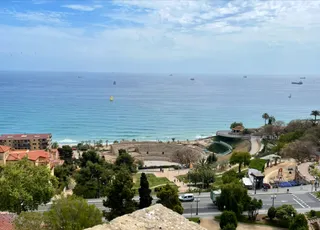 Lloba capitolina