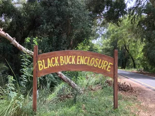 Lal Suhanra National Park