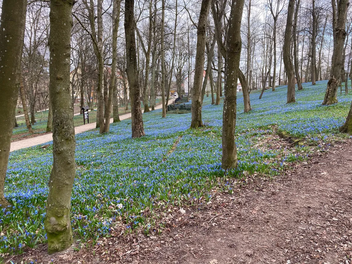 Park im. Gen. Władysława Sikorskiego
