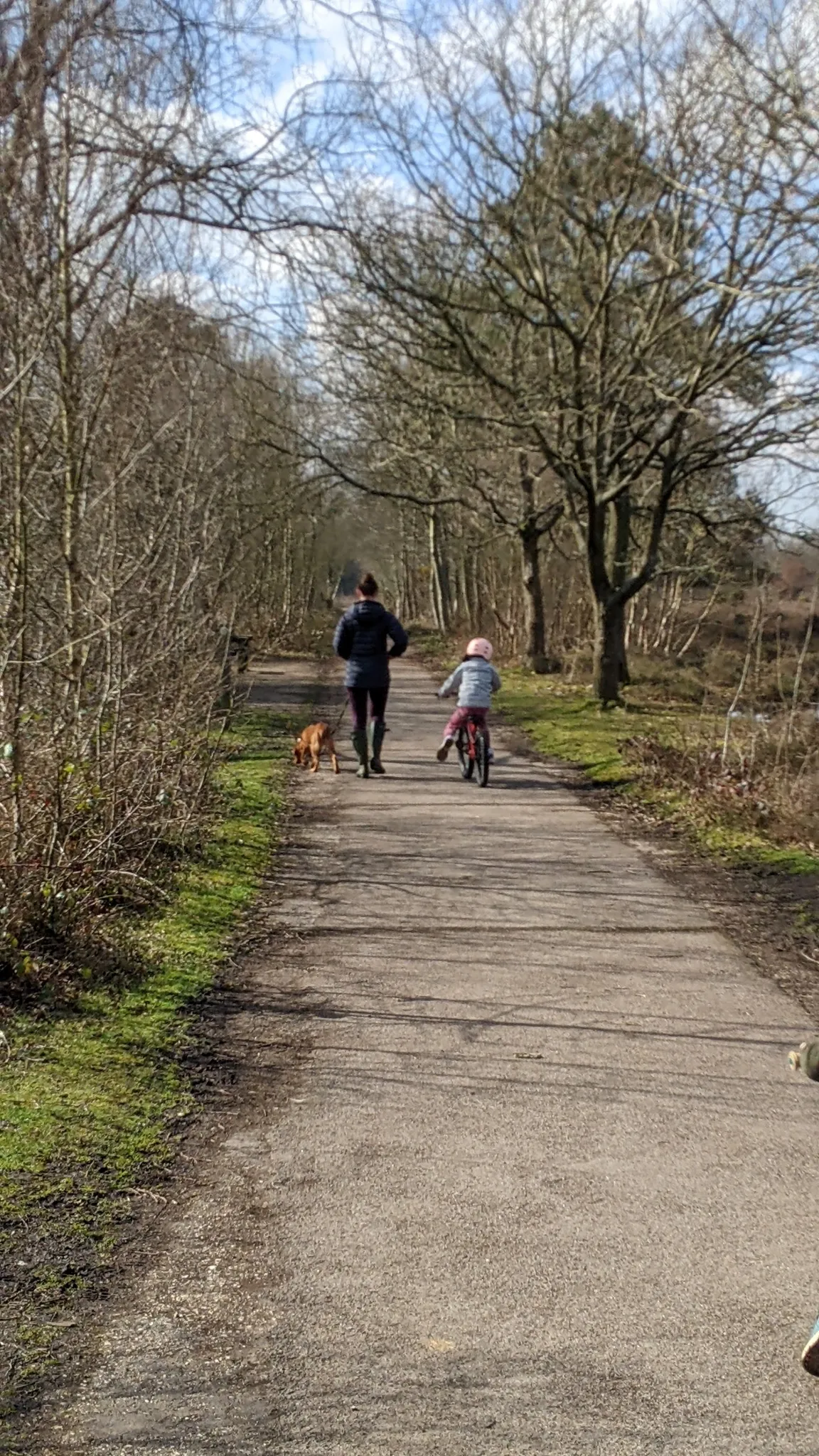 Snelsmore Common Country Park